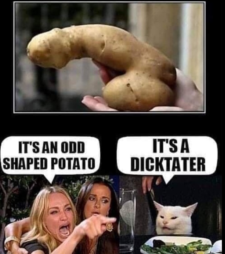 Dicktater - meme