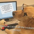 commented item thumbnail