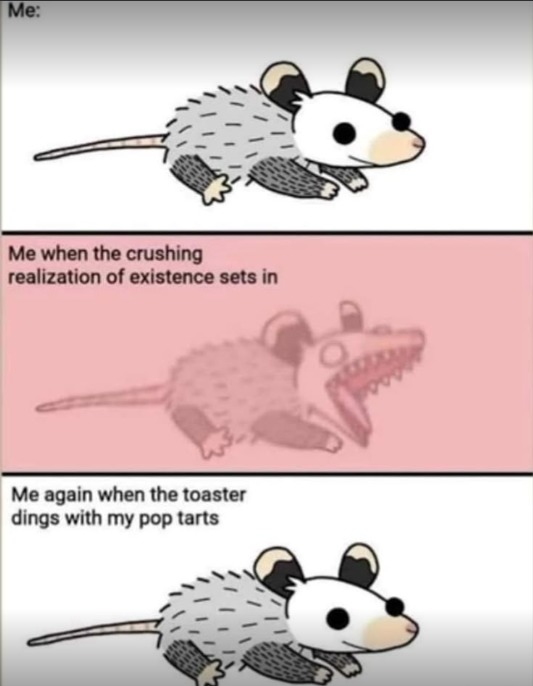 im insignificant to the vast stretch of time and- OOH POP TARTS - meme