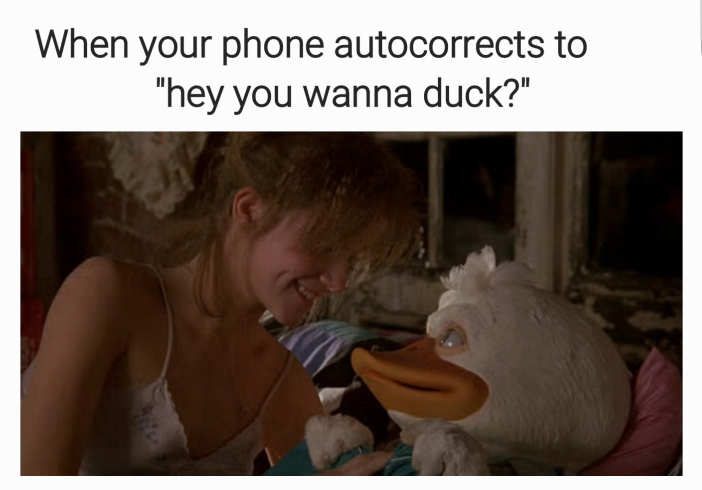 Go duck yourself - meme