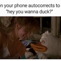 Go duck yourself