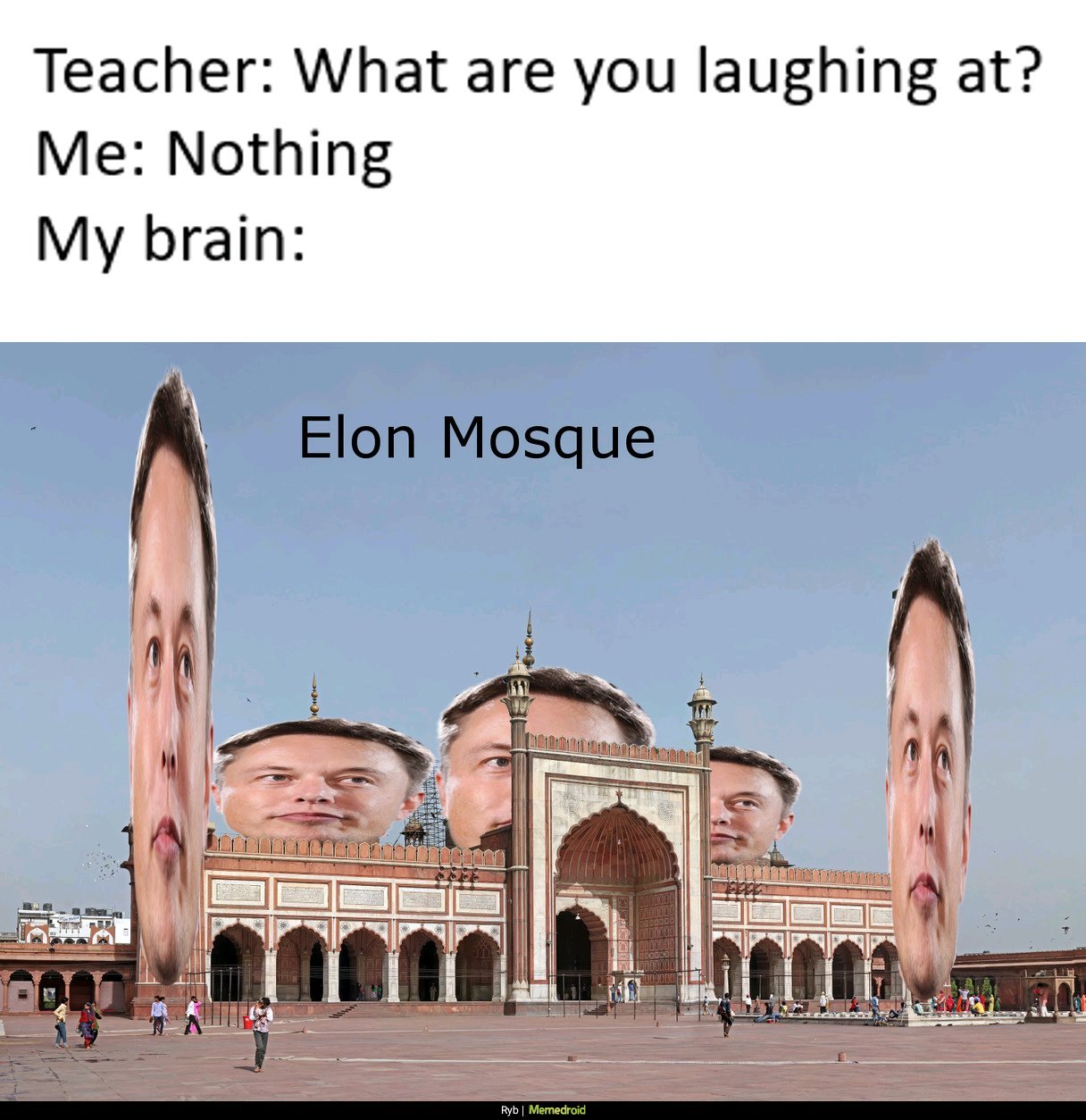 Elon stop pls. - meme