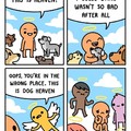 Dog heaven