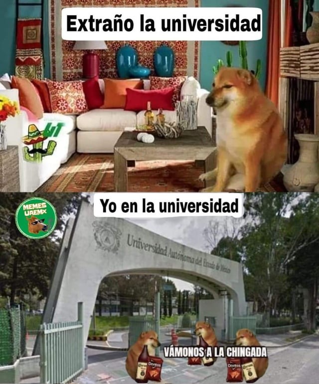 Meme De La Universidad Meme By Thejorgetri Memedroid