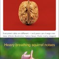 Wait…that’s a walnut