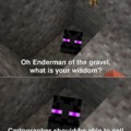 Oh Enderman of the gravel, what is your wisdom?