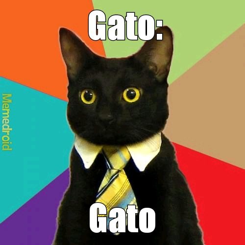 Gato - meme
