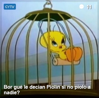 Piolin no es piolador pibes - meme