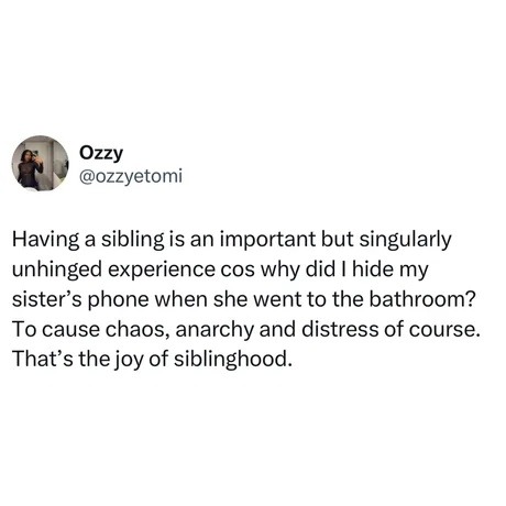 Siblinghood: causing chaos for no reason since birth - meme