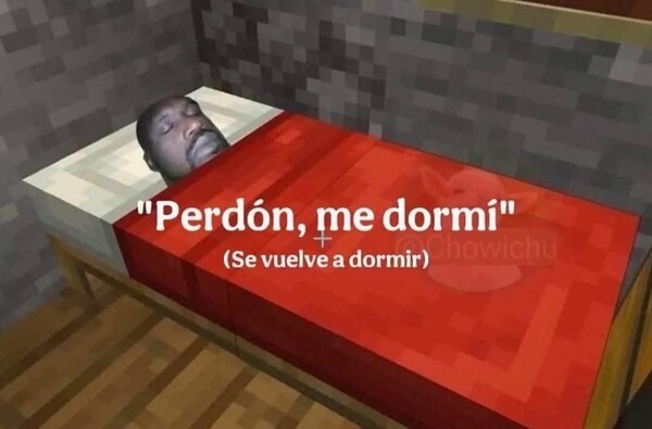 Perdón me dormí (y me vuelvo a mimir sin culpa) - meme