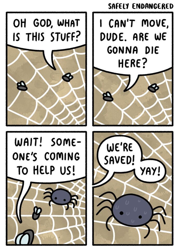 Spider to the rescue - meme