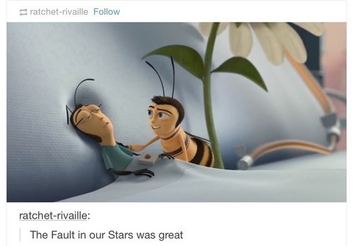 The fault in our hive - meme