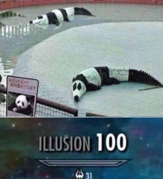 Pandas be like - meme
