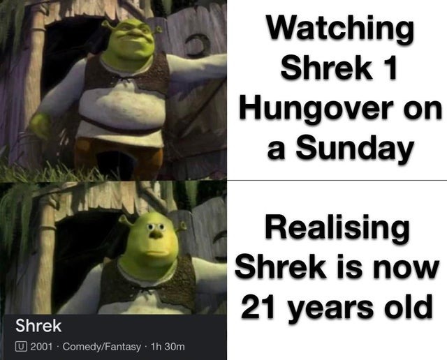 Watching Shrek 1 hungover on a sunday - meme