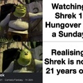 Watching Shrek 1 hungover on a sunday