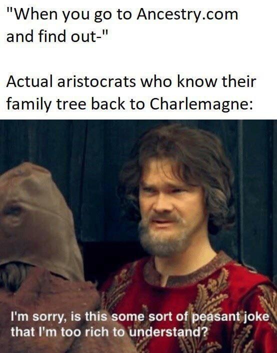 When you discover you’re 2% noble and suddenly start judging peasants - meme