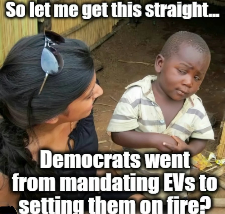 Idiots - meme
