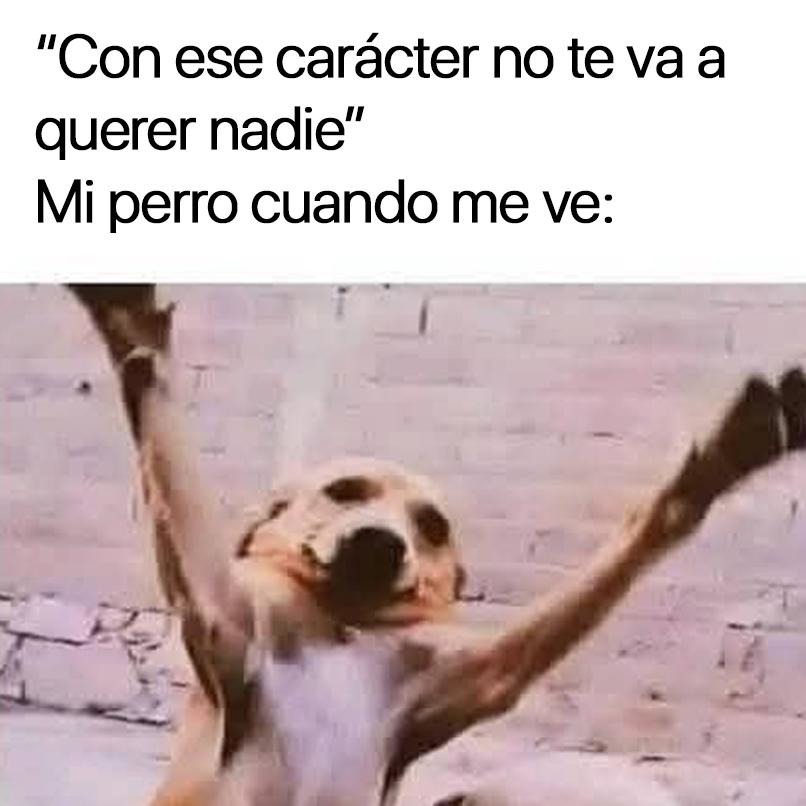 Siempre está ahí - meme