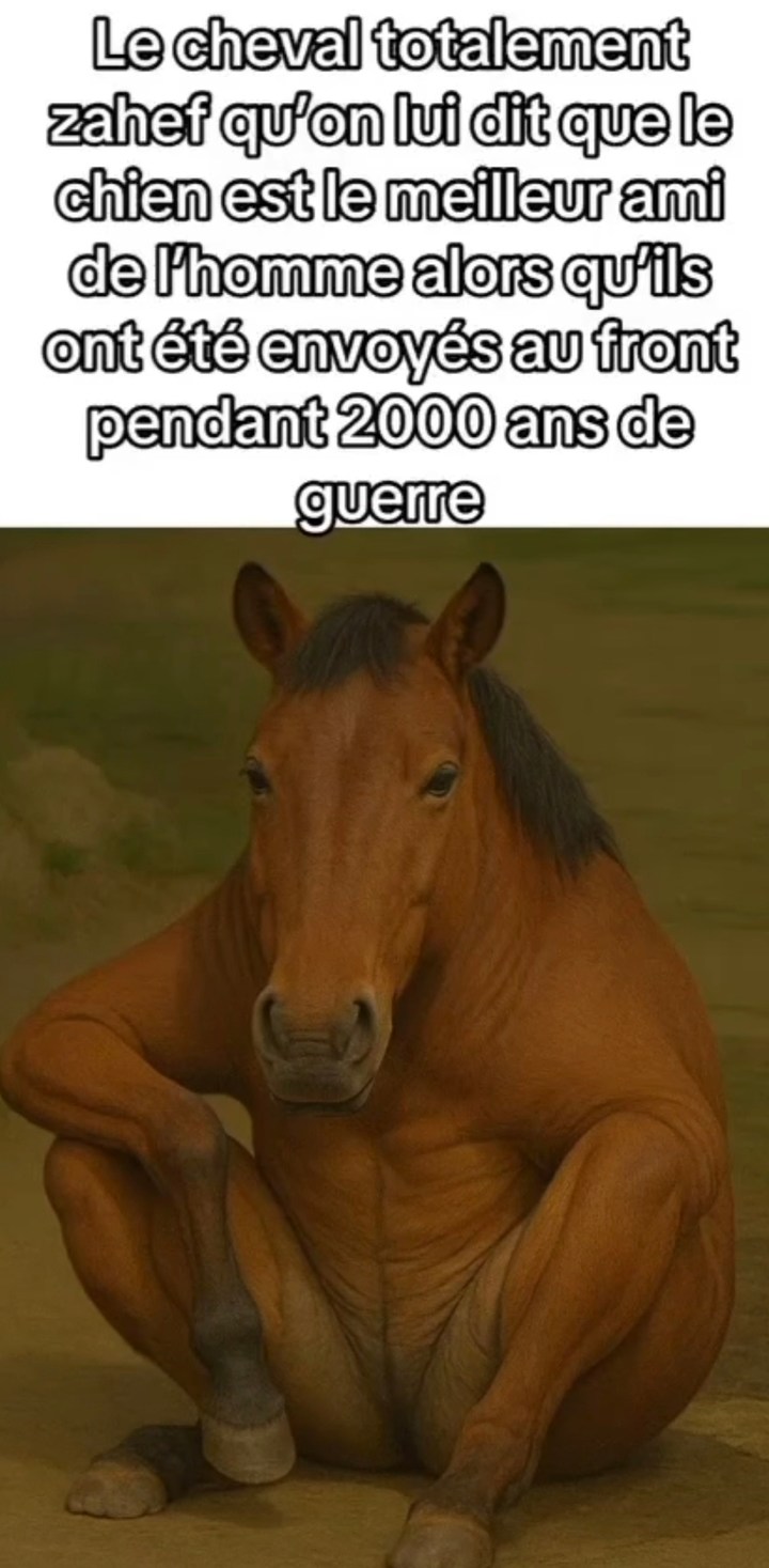 Le cheval blasé qu'on dise que le chien est le best - meme