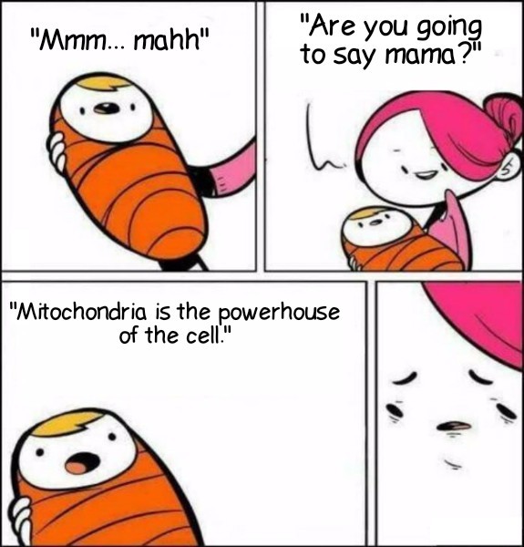 Mitochondria is the powerhouse of the cell - meme