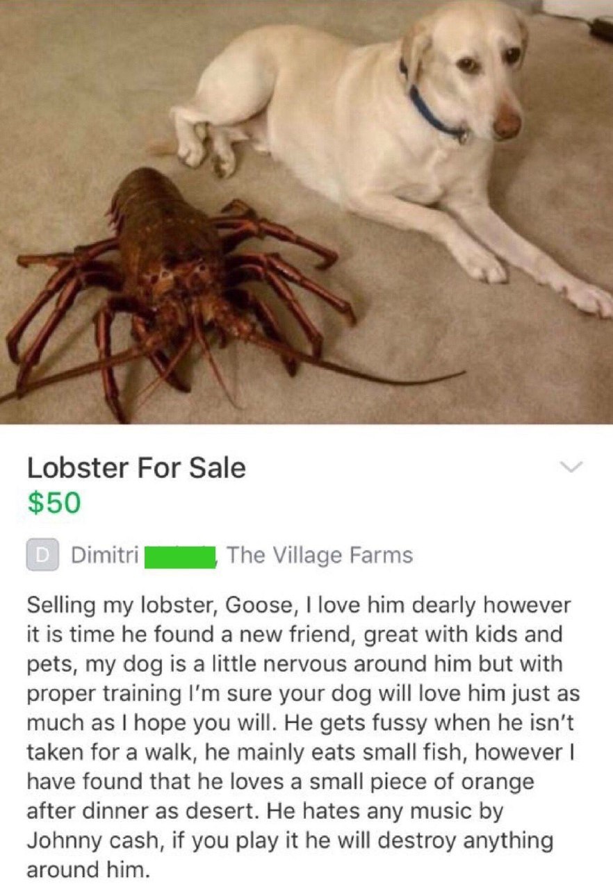 For sale to a good home - meme