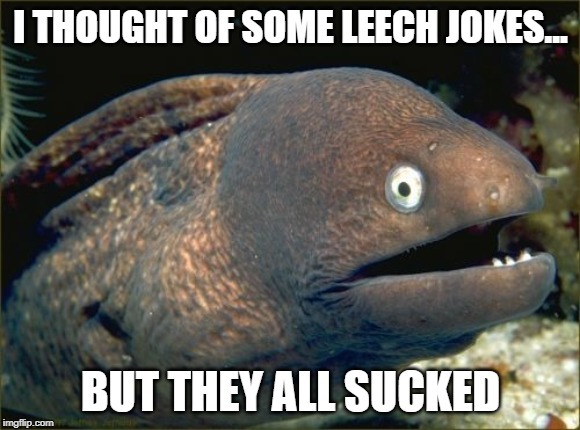 Get It (they all suck) cause leeches suck (crying on the inside) - meme