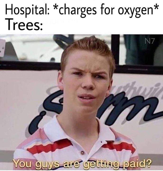 Trees don't get paid - meme
