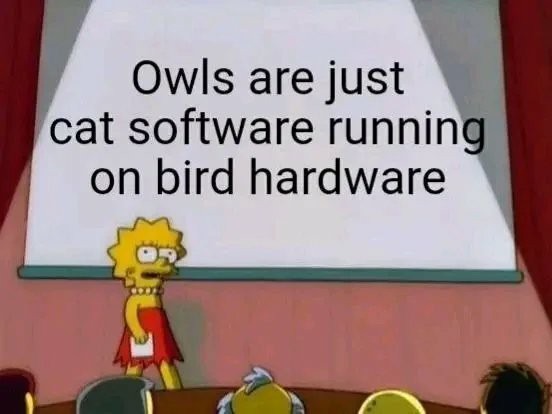 If we're gonna start in with the owl memes