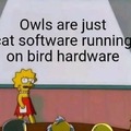 If we're gonna start in with the owl memes