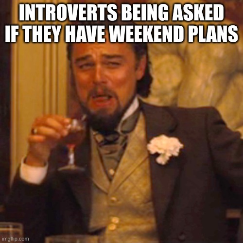 Introverts being asked if they have weekend plans - meme
