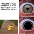 pikachu, I will found you, and I will catch you