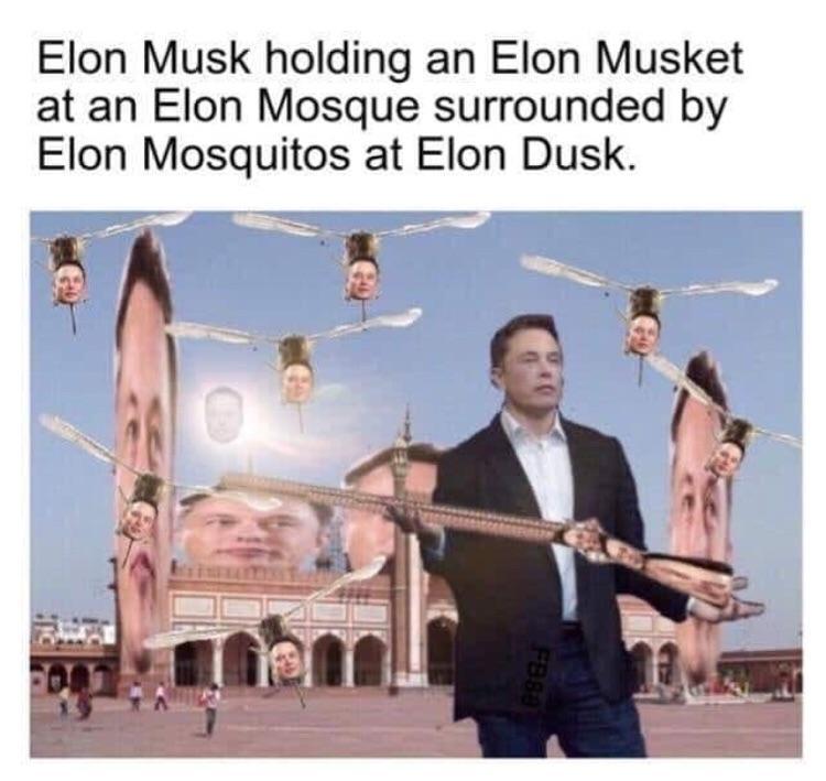 Elon Mousk - meme