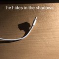 He hides in the shadows