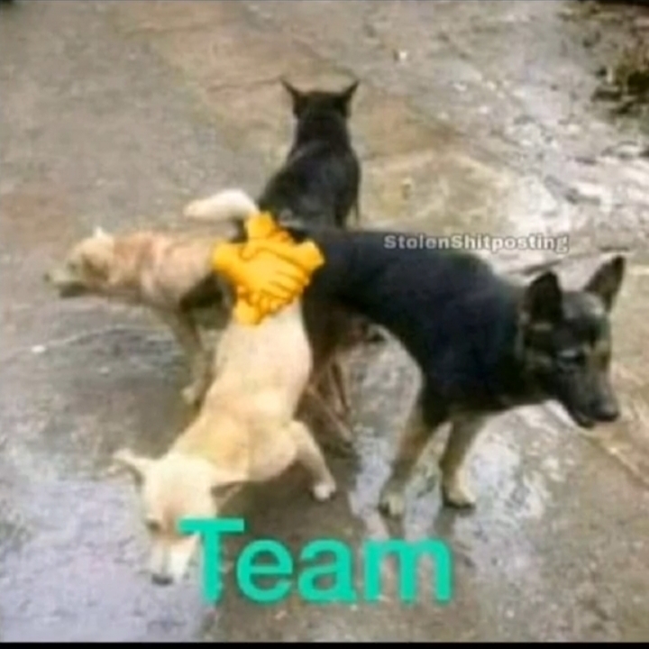 Team - meme