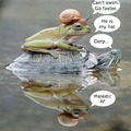 froggie went courtin n he did ride