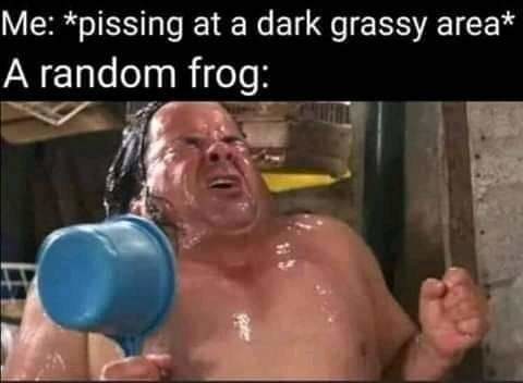 A random frog appeared! - meme