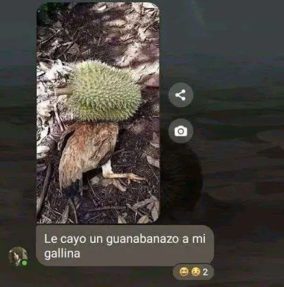 gallina wea - meme