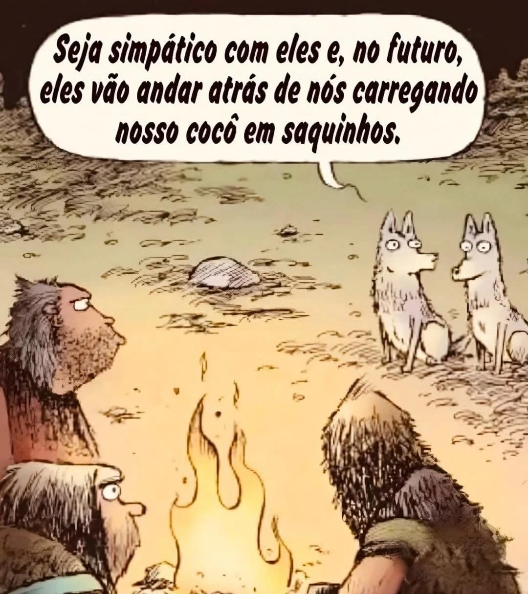 Vai usar roupinha e lacinho tbm - meme