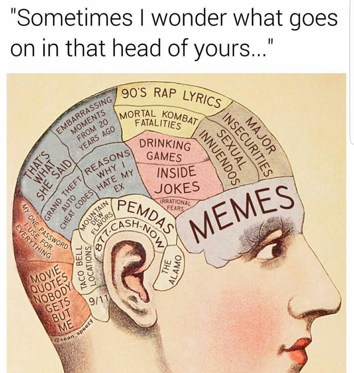 What's in my head - meme
