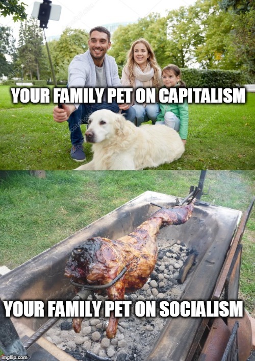 Socialism - meme
