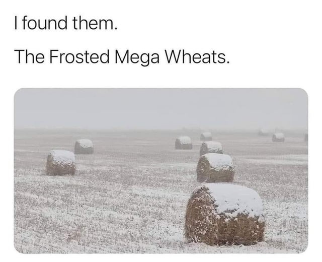 Frosted mega wheats - meme