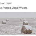 Frosted mega wheats
