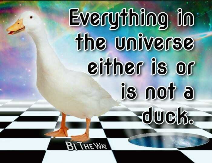 DuckDuckGo - meme