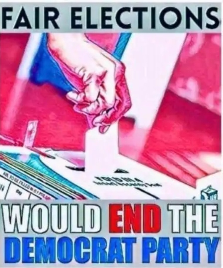 Demand paper ballots and voter I.D. - meme