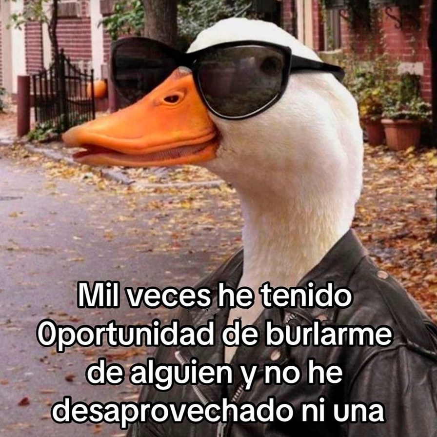 mil veces pude burlarme y no perdí la ocasión - meme