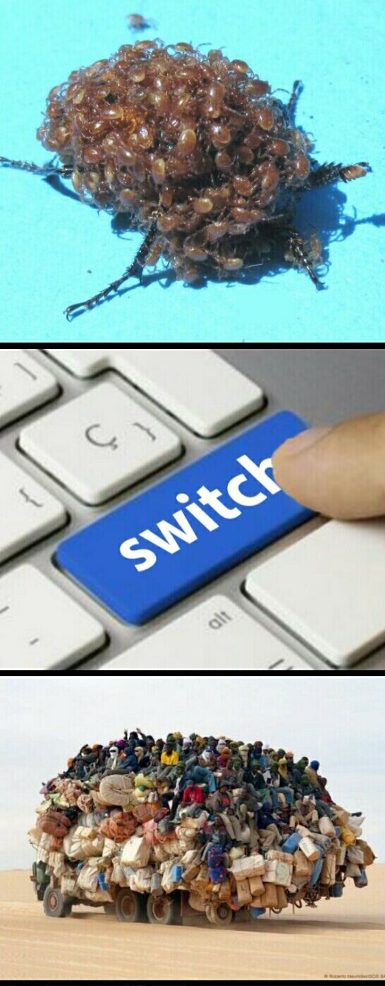 Flip the switch ! - meme