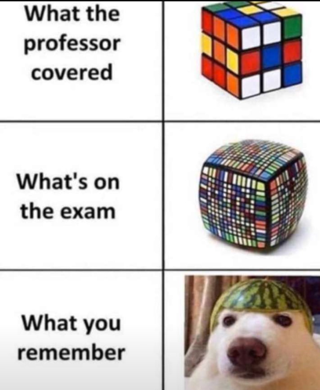 Exams - meme