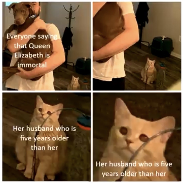 An immortal couple - meme