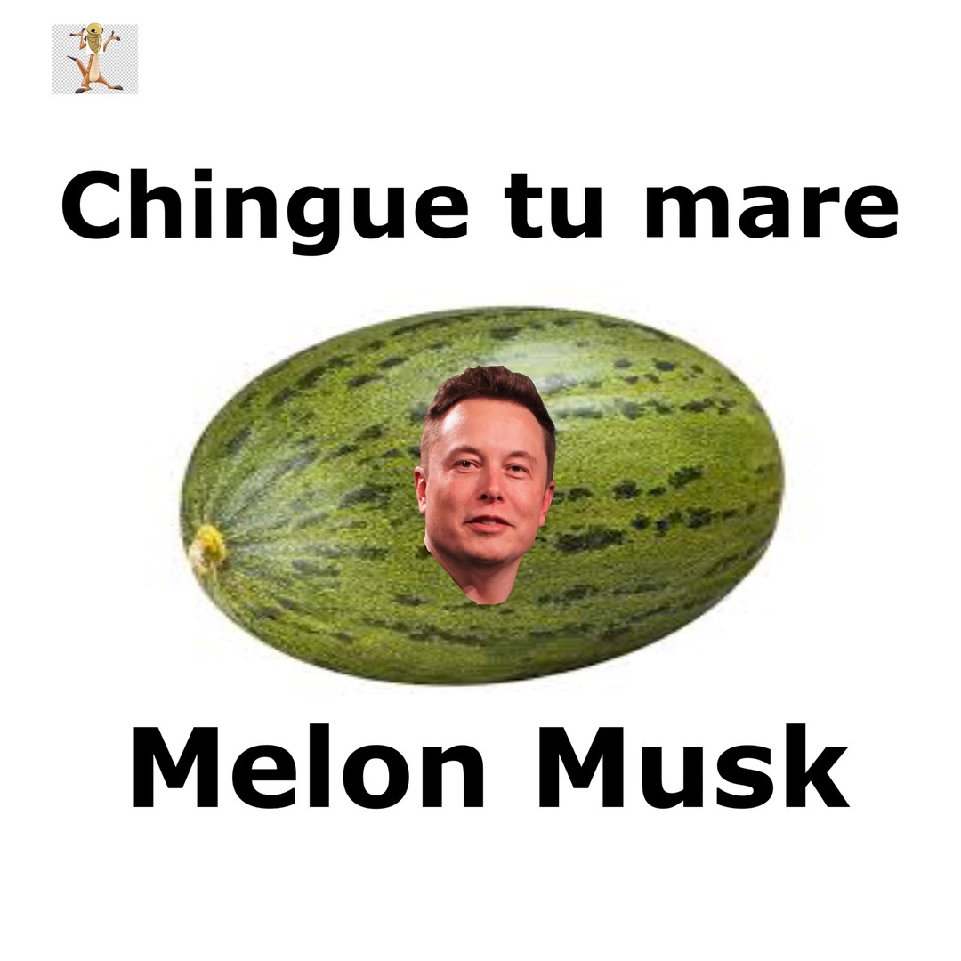 Te odio Melon Musk - meme