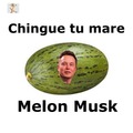 Te odio Melon Musk